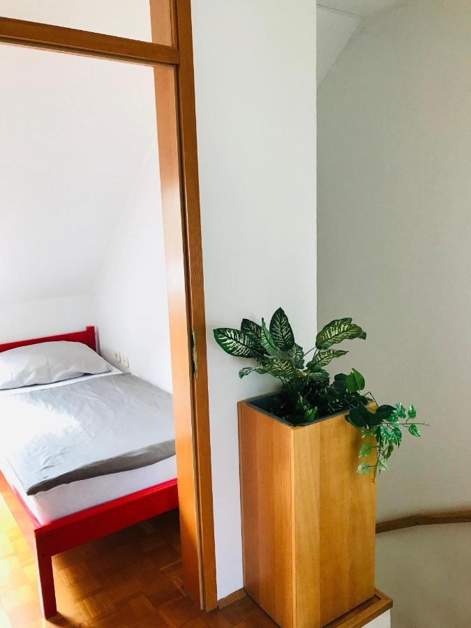 Extraordinary Apartment In Banovci Verzej Exterior photo